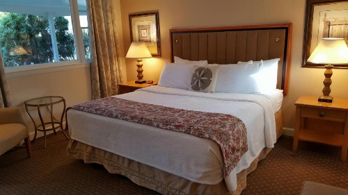 Starlight Lodge Cape Cod image 22