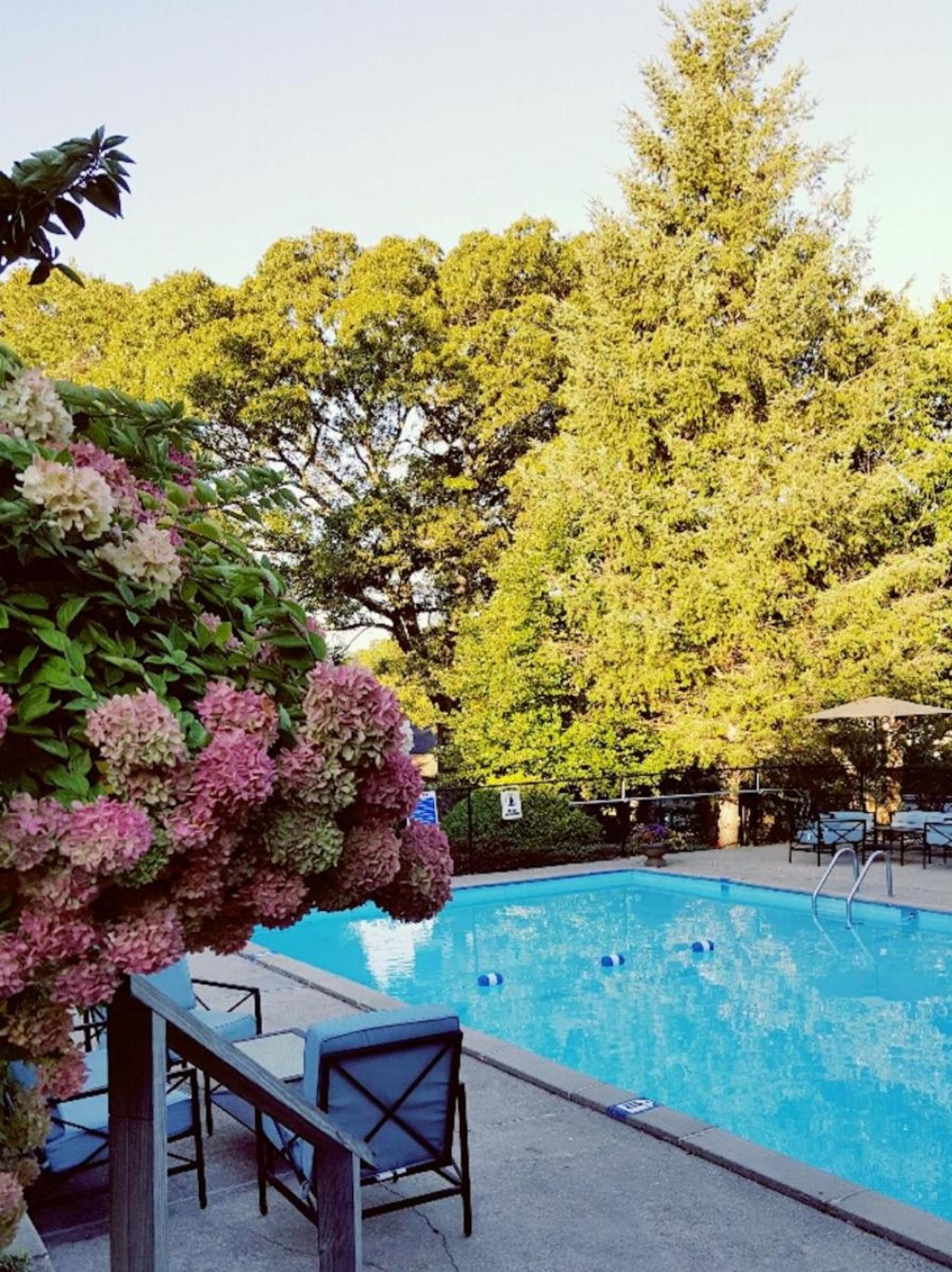 Starlight Lodge Cape Cod